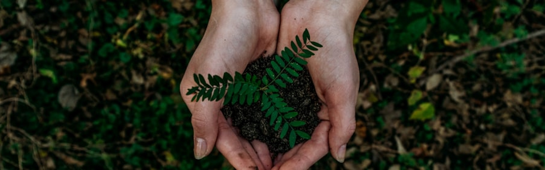 5 Sustainable Packaging Trends to Watch in 2026