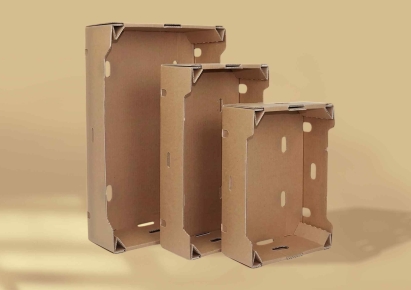 Corrugated fruit boxes