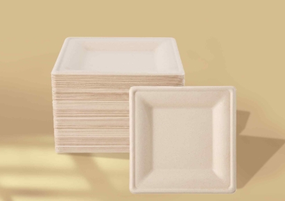 Square paper plates