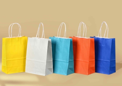 Twisted handle paper bags
